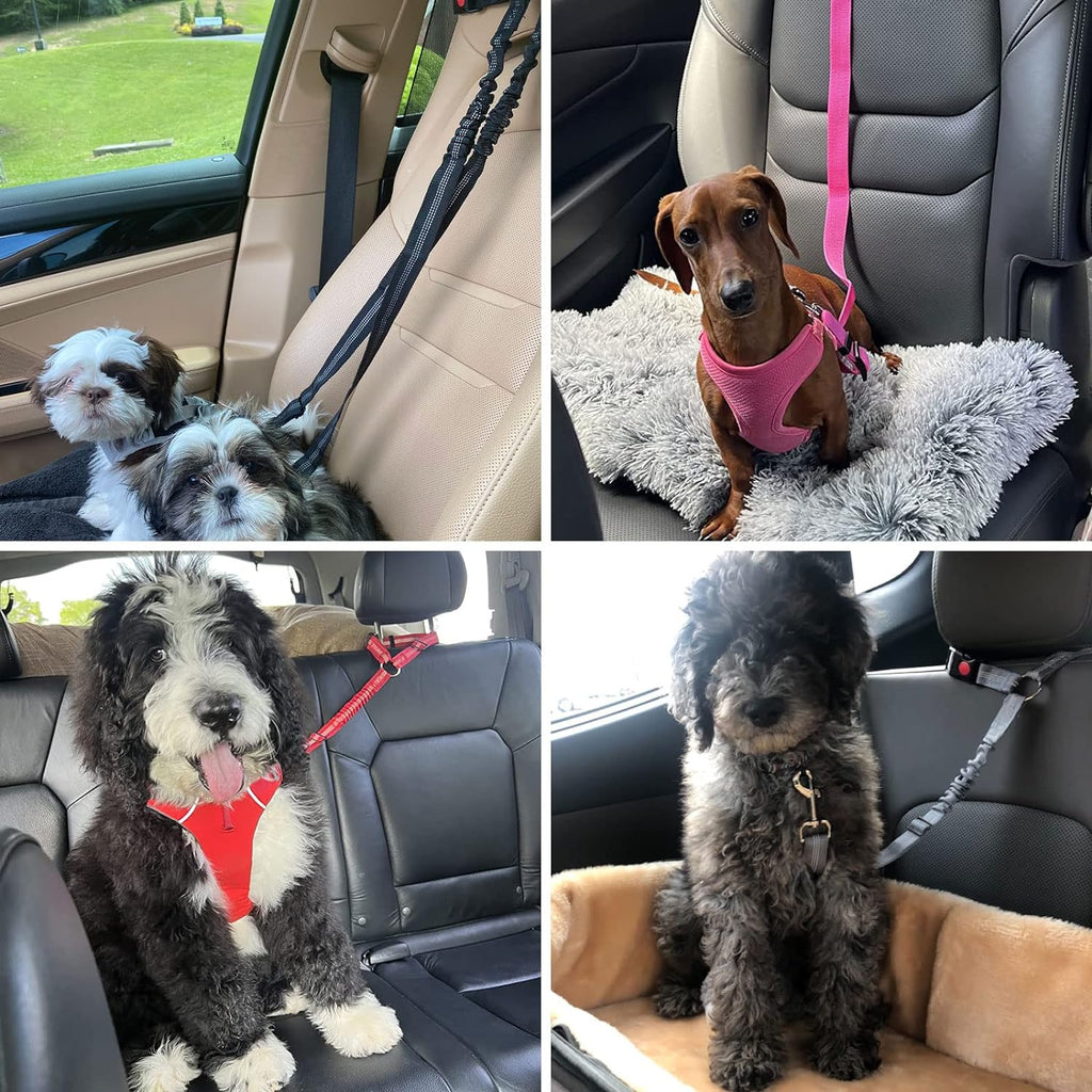 2-Pack Adjustable Dog and Cat Safety Seat Belt Straps with Reflective Elastic Bungee for Vehicle Restraint, Compatible with Harnesses, 18.9-27.5 inches