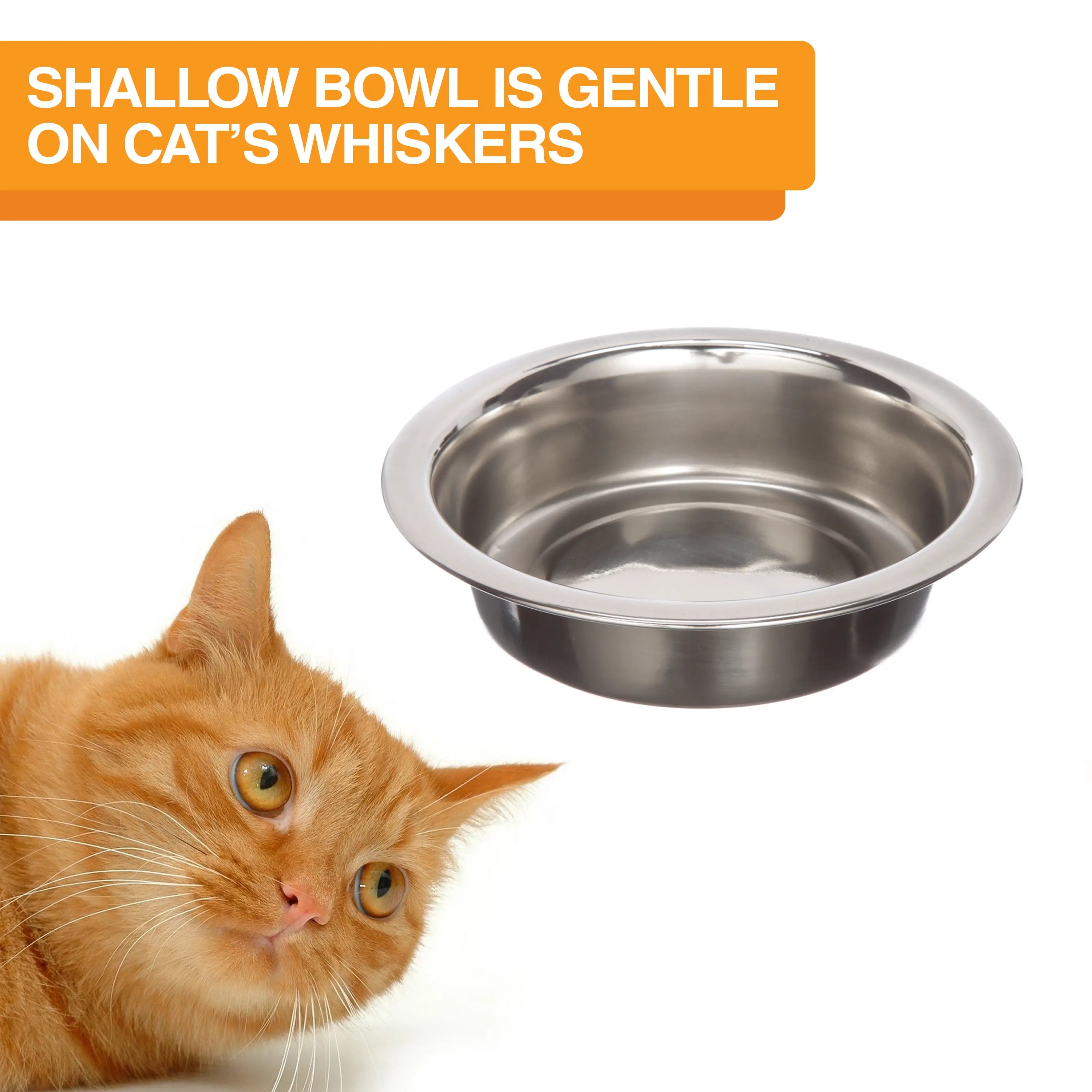 Neater Feeder Express for Cats - MESS PROOF PET BOWLS with Raised Walls & Elevated Design for Improved Digestion - Easy to Clean & Top-Rack Dishwasher Safe - Made in the USA