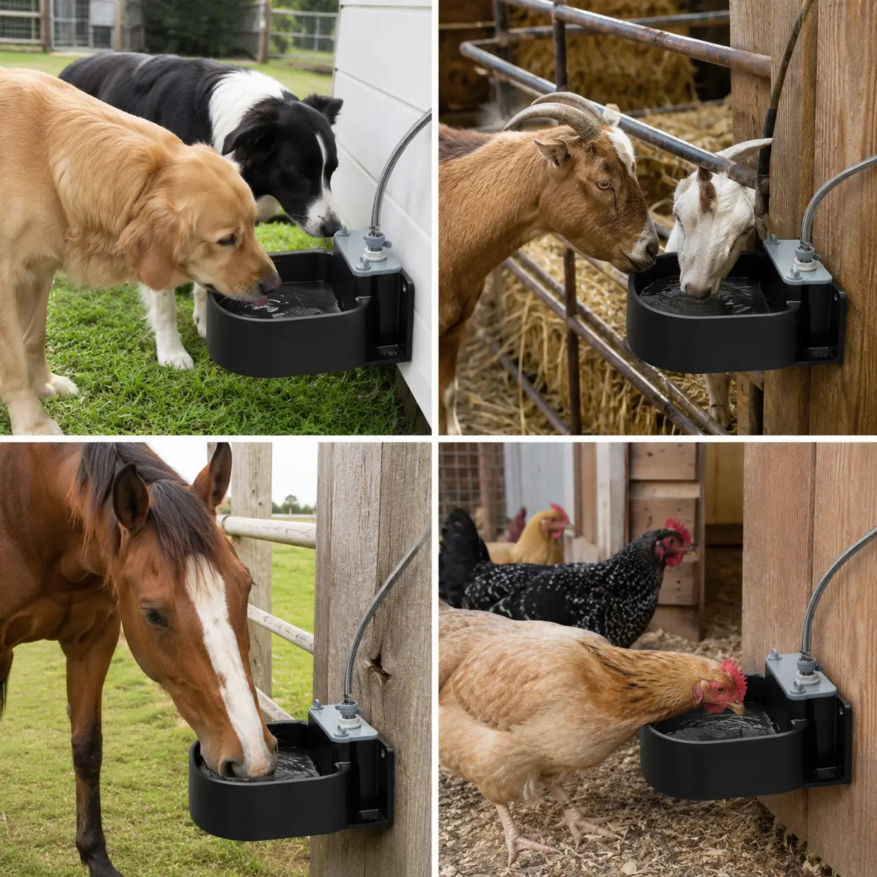 Farmparadise Automatic Dog Water Bowl, Water Dispenser for Dogs, Chicken Waterer for Coop with Float Valve, Filter, Hose & Adapter, Outdoor Livestock Water Bowl for Goats & Horses, Chicken Coop Accessories