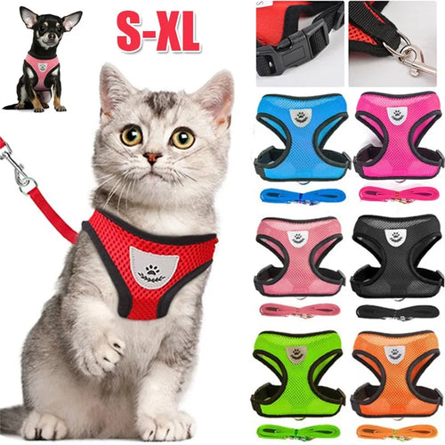 Adjustable Polyester Mesh Harness with Leash for Small Dogs and Cats - Breathable and Reflective Design